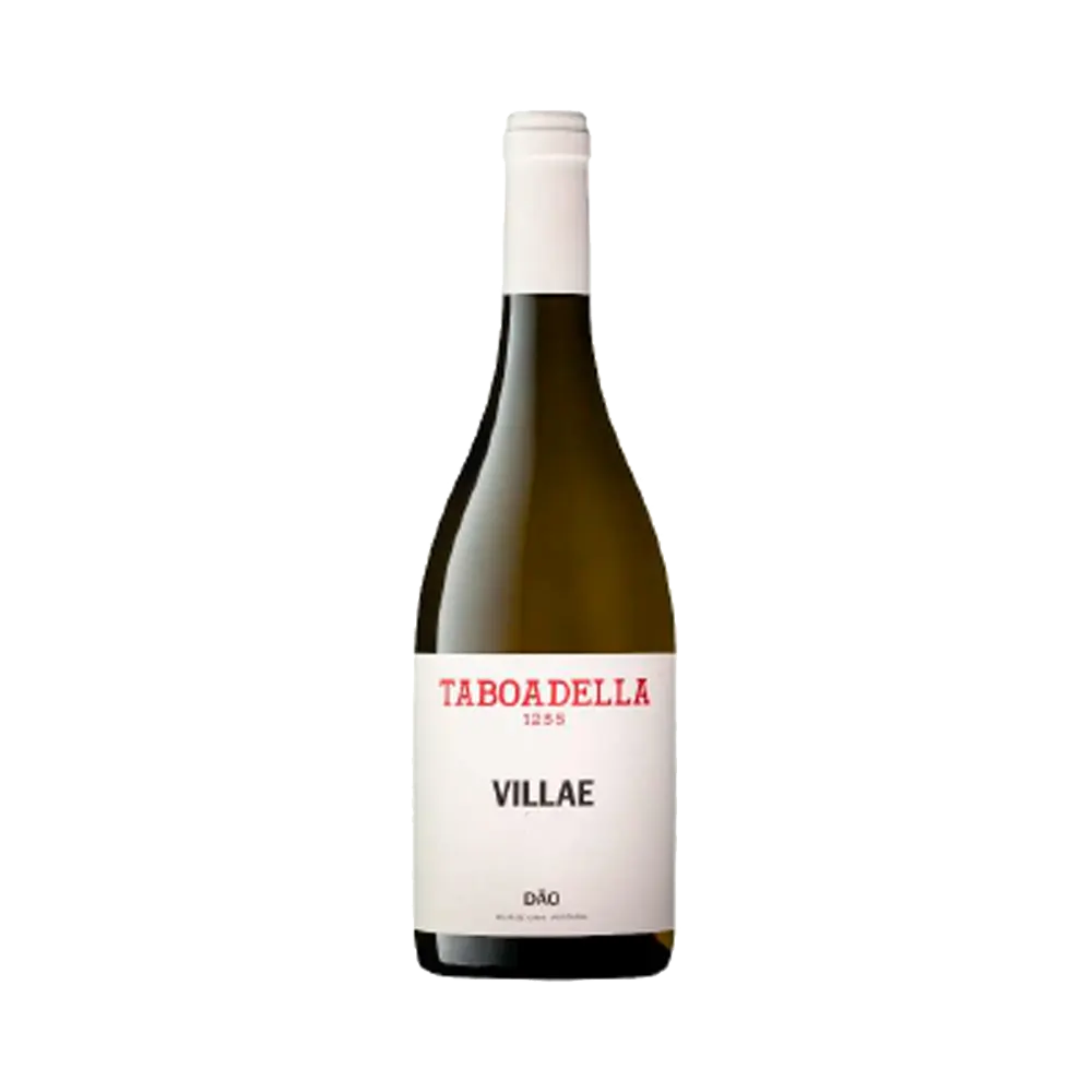 Taboadella Villae - White Wine